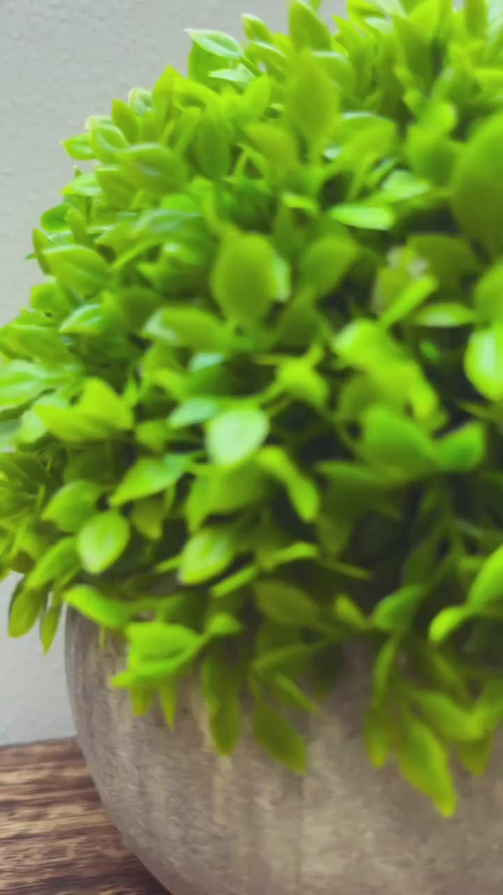 Divine Desk collectibles- Pack of 3- Krishna, Shiva & Hanuman